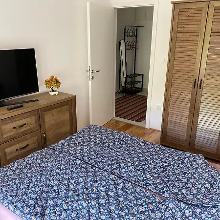 New In The 비소코